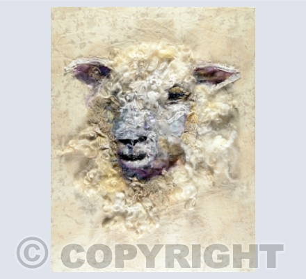 Sheep