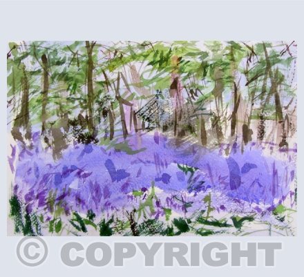 Woodland