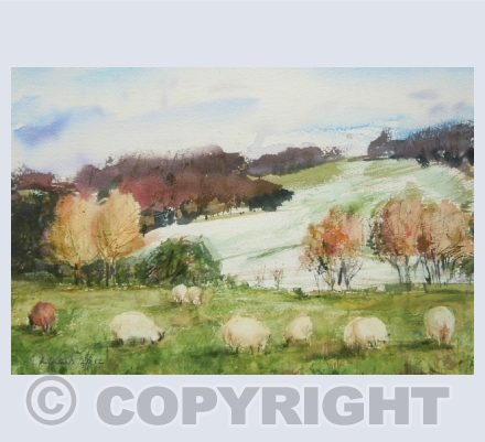 Sheep in a landscape