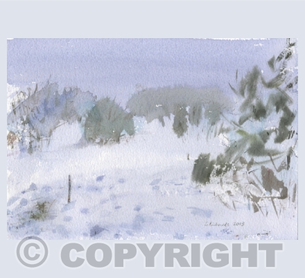 Winter scenes