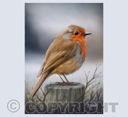 British Wildlife