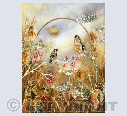 Hedgerows and Meadows