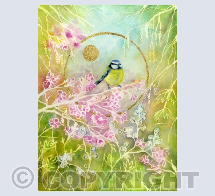 Birds