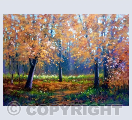 Forests 