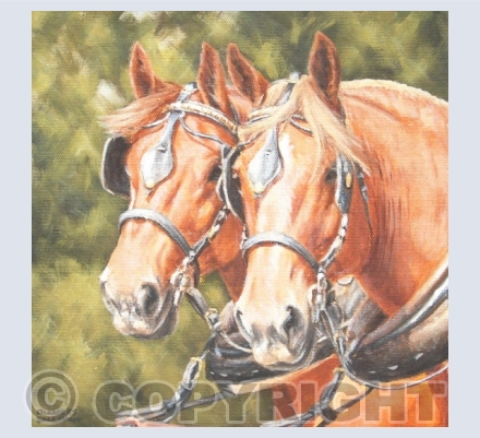 Heavy Horse Cards