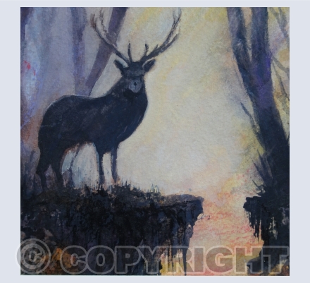 Stag