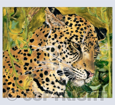 Leopard