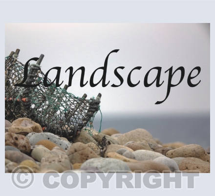 Greeting Cards - Landscape
