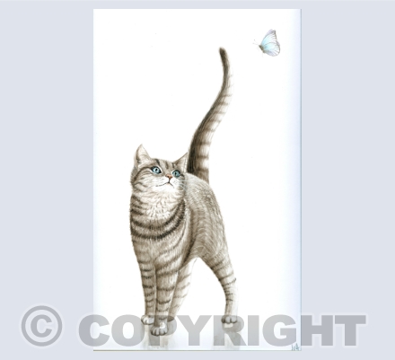 Cats