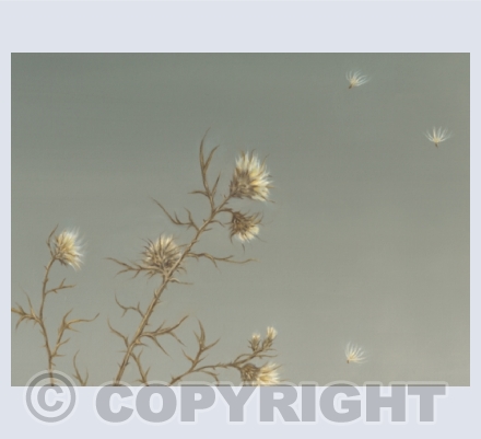 Botanicals