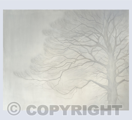 Trees and Woodland