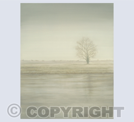 Landscapes