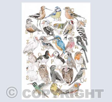 Alphabet Cards