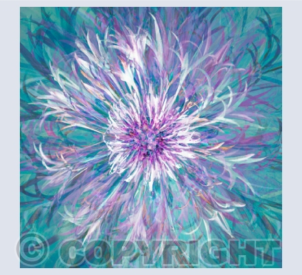 Floral Abstracts
