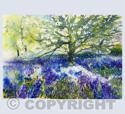 Woodland and Trees