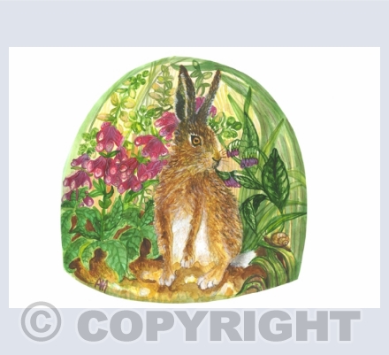 Hares