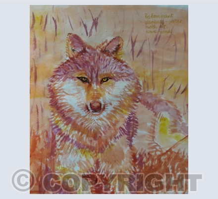 Wolf