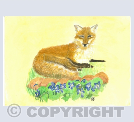 Foxes