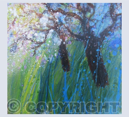Spring