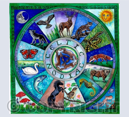 Animals