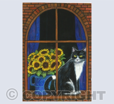 Cats