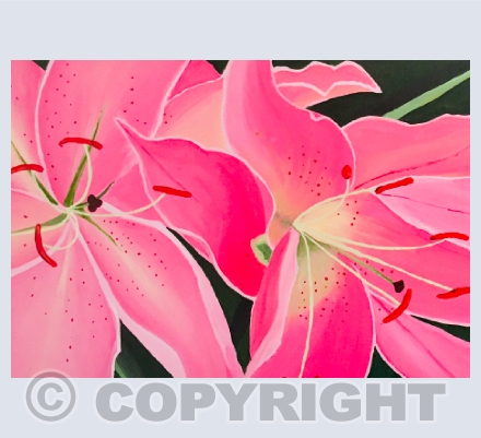 lillies