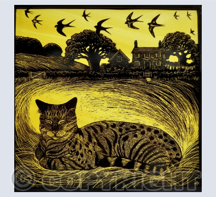 Dogs and cats