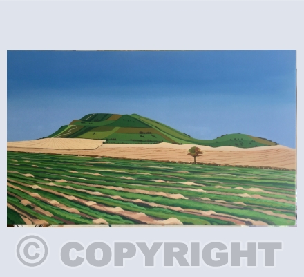 Other Landscapes
