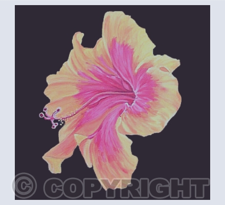 Florals