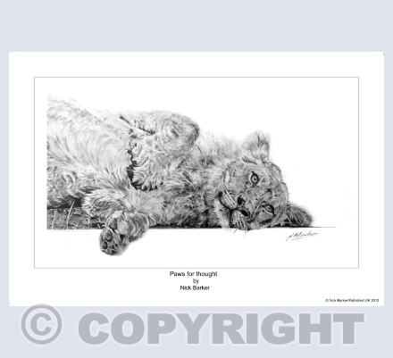 Big Cats