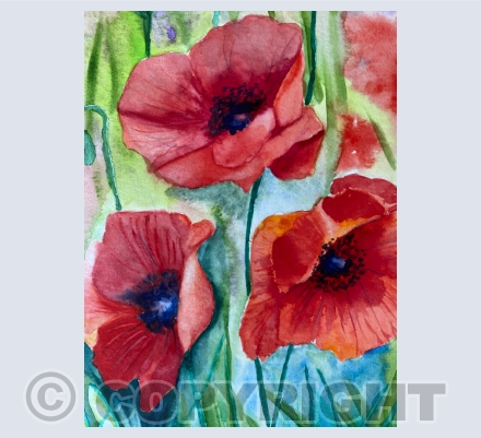 Poppies