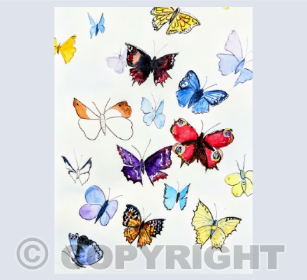 Butterflies