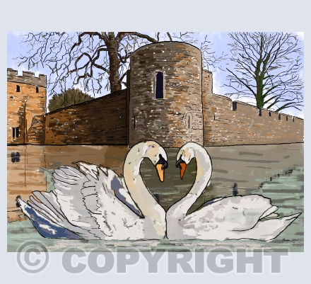 Greeting Cards