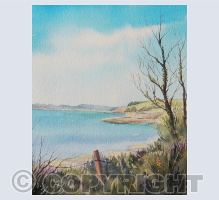 Landscape and Seascapes