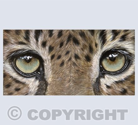 Eyes
