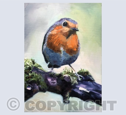 Birds