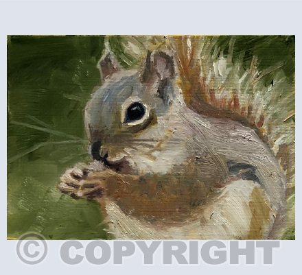 Animals and wildlife