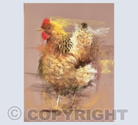 In Motion Collection