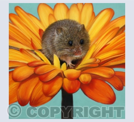 Wildlife (British Species)