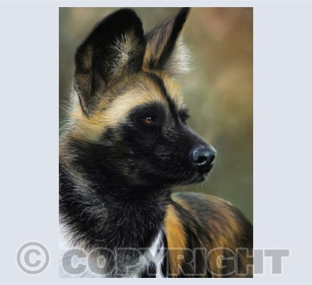 Wildlife (All Other)