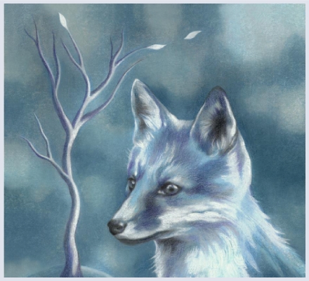 Animal cards