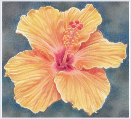 Flower cards