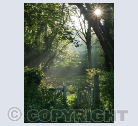 Landscape Photographs