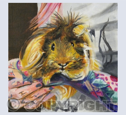 Dogs and Other Animals