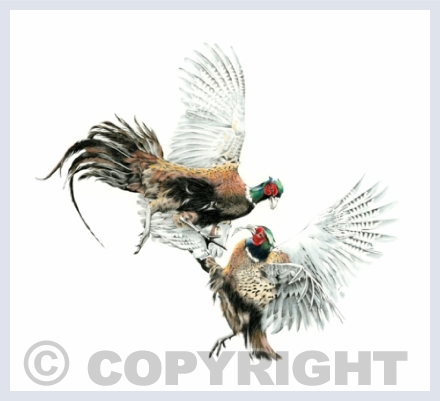 Farmhouse Favourites