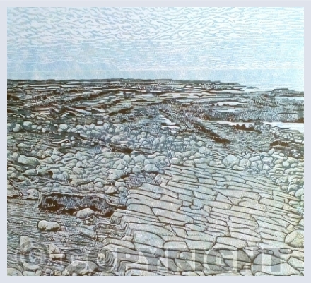 Sea & Coast
