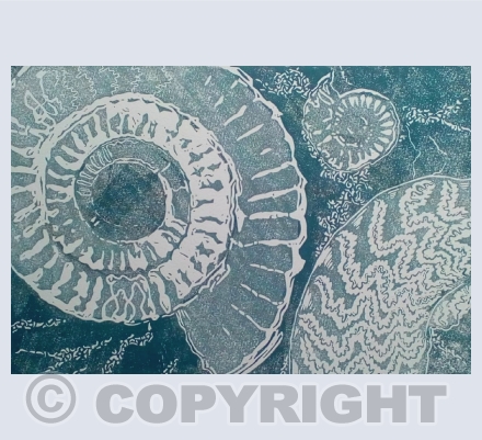 Fossils