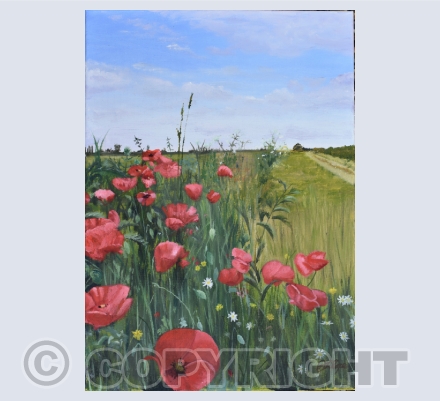 English countryside wildflowers
