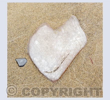 Hearts in Nature