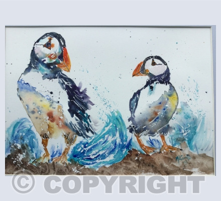 Puffins